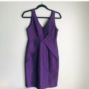 Ted Baker Sleeveless Lined V Neck Dress Sz 6